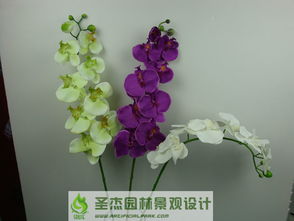 從創(chuàng)意到景觀 沈陽仿真花產(chǎn)業(yè)的全面供應與藝術實踐